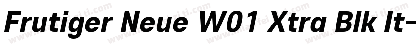 Frutiger Neue W01 Xtra Blk It字体转换